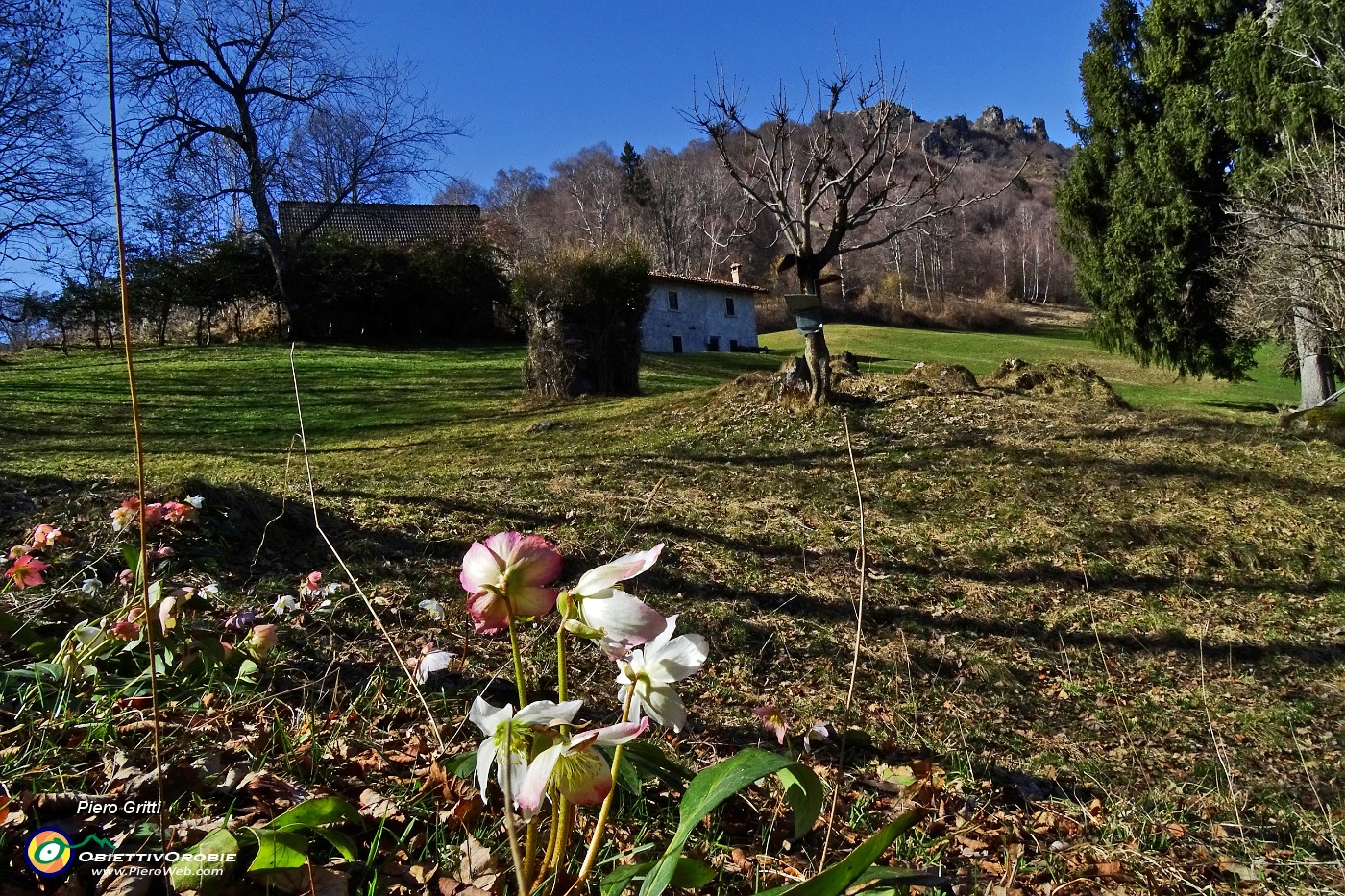 12 Baita con vista in Corno Zuccone.JPG -                                